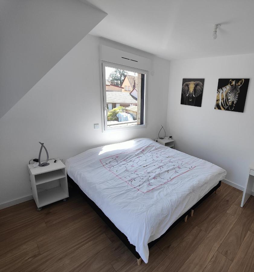Appartement 48M², Strasbourg Centre A 15 Min En Train Fegersheim Esterno foto